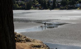 Pipers-Lagoon-Nanaimo-BC.jpg