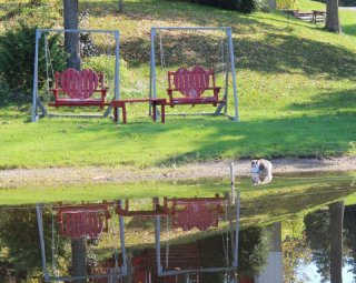 heart-shaped-swings.jpg